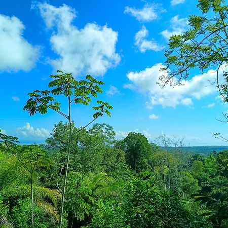 Osa Private Renting House-Villas-Tented-Best Views-Nature-Comfort Puerto Jiménez Εξωτερικό φωτογραφία